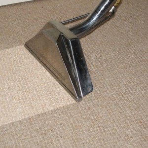 Carpet-cleaning-Extraction